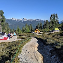Des tentes au parc Garibaldi en été.