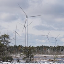 Des éoliennes dans un paysage hivernal rempli de conifères.