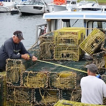 Les pêcheurs se préparent pour le début de la saison de pêche au homard dans la zone 25 dans les maritimes.