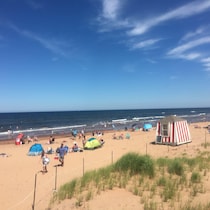 Des dizaines de personnes sur une plage.