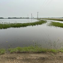 Un champ innondé au nord de l'Alberta sous un ciel gris.