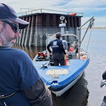 Des chercheurs de l'UQAR s'apprêtent à embarquer sur un bateau.