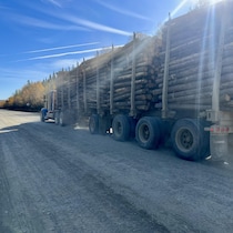 Un camion lourd qui transporte des troncs d'arbres