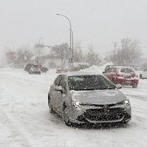 Des voitures circulent en milieu urbain pendant une tempête de neige.