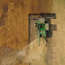 Un champ de canola lors de la moisson en Saskatchewan en septembre 2023.