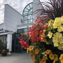 De grandes fleurs devant l'entrée d'un pavillon.