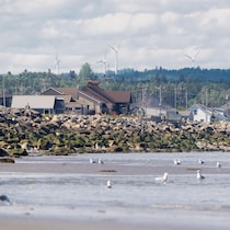 maisons sur le bord du fleuve protégées par un mur de pierres sur le rive.