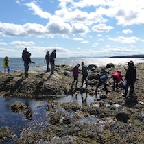 Explos-Nature (en Haute Côte-Nord) offre un camp axé sur les sciences biologiques pour les adolescents. Des jeunes se baladent sur des roches avec des algues, sur le bord du fleuve St-Laurent.