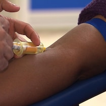 La transplantation de cellules souches offre l'espoir d'une guérison ou d'une survie plus longue aux patients souffrant de maladies du sang.