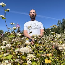 Vue en contre-plongée d'un homme au milieu de fleurs et d'arbres, lors d'une chaude journée ensoleillée.