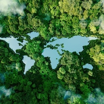 Illustration d'une forêt vue de haut avec des lacs qui forment la silhouette d'une carte du monde.