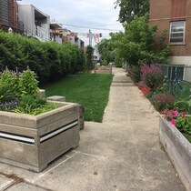 La riche histoire des ruelles de Montréal | OHdio | Radio-Canada