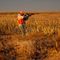 Un chasseur dans un champ, tenant une arme à feu.