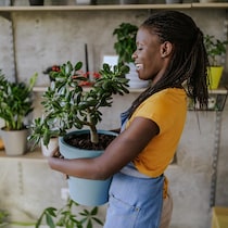 Une femme transporte une plante dans ses bras.