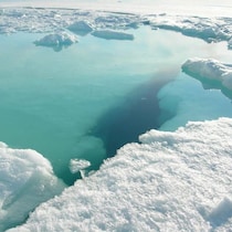 Des photos d'icebergs prises par Ève Christian.
