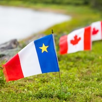 Un drapeau acadien planté dans la pelouse devant plusieurs drapeaux du Canada.