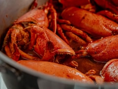 Une casserole remplie de sauce homardine avec les carcasses de homard.