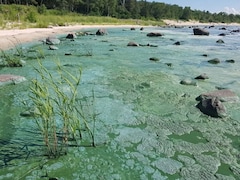 Des algues bleu-vert recouvrent les plages du lac Winnipeg. (archives) 