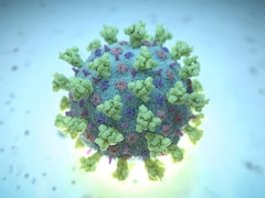 Une image de synthèse créée par Nexu Science Communication et le Trinity College de Dublin montre un bétacoronavirus comme celui qui cause la COVID-19.