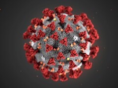 Structure en trois dimensions du virus.