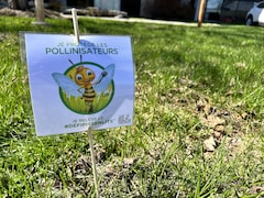 Une affiche incitant à protéger les pollinisateurs. 