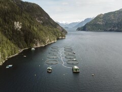 Une vue aérienne de plusieurs fermes salmonicoles.