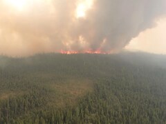 Des flammes s'élèvent au-dessus de la forêt et créent un panache de fumée.