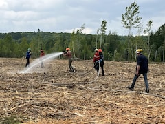 Une femme arrose le sol, entourée d'apprentis pompiers, près d'une forêt.