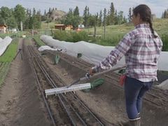 Sarah Ouellette prépare sa terre pour la production maraîchère au Yukon.