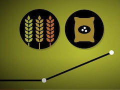 Image infographique de tiges de blé et d'un sac de semence.