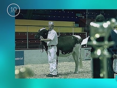 Pour les éleveurs, une exposition était l’occasion de montrer ses plus beaux animaux