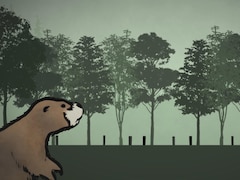 Images infographique d'un castor en bordure d'une forêt.