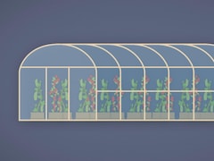 Image infographique de légumes dans une serre.
