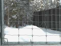Le grillage et un mur de géotextile érigé pour contenir les caribous dans l'enclos.