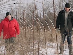 Marjolaine Poulin-Turcotte et Alain Boucher marchent dans leur champ en hiver.
