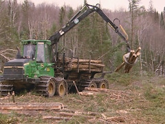 Une chargeuse de billots de bois à l'oeuvre en forêt.