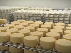 Les fromagers industriels réussissent à congeler d'importantes quantités de fromage.