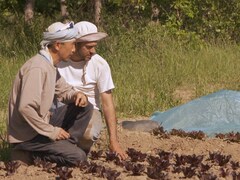 Tatsuya Ikeda et Arnaud Mayet travaillent ensemble au champ.