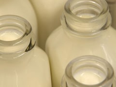 Le lait embouteillé à la ferme est mis dans des bouteilles de verre.