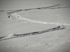 Une piste de motoneige dans un champ agricole.