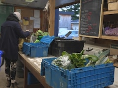 Une cliente choisi les légumes pour son panier.