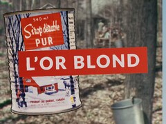 Composition d'image infographie d'une boîte de conserve de sirop d'érable et du titre L'or blond.