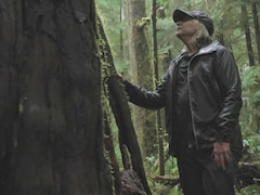 Suzanne Simard, professeure en écologie forestière, dans la forêt.
