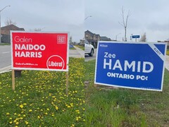 Des pancartes électorales sur la pelouse.
