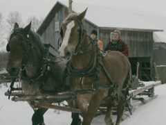 Paul Chaperon avec ses chevaux en route pour le bois.