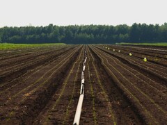 Terre dans les champs.