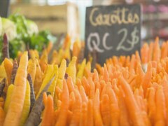 Un étalage de carottes du Québec dans un marché public.