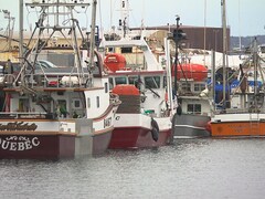 Plusieurs bateaux de pêche accostés à un quai.