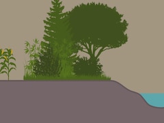 Image infographique d'une bande riveraine sur le bord d'un cours d'eau.