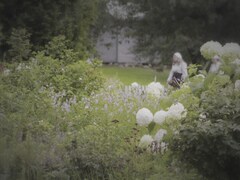 Un parterre de plantes anciennes dans le Village québécois d'Antan.